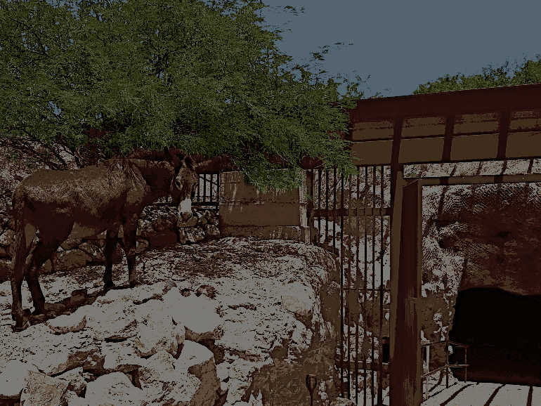 A donkey standing on rocky terrain near the entrance of an old mine, with a metal gate and a wooden structure partially covering the mine opening. A green tree provides shade in the background.