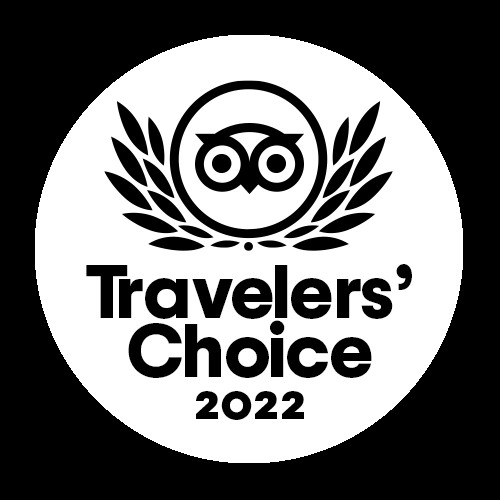 Traveler's Choice Award